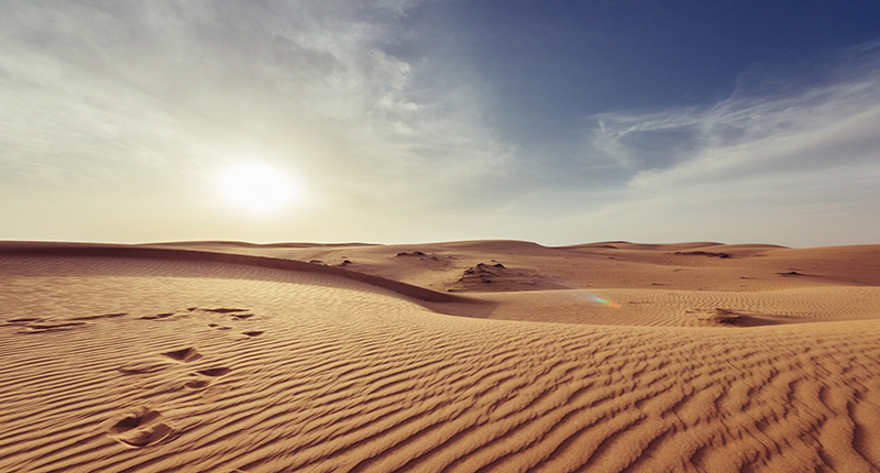cat 1 circuit_desert_oasis_kasbah