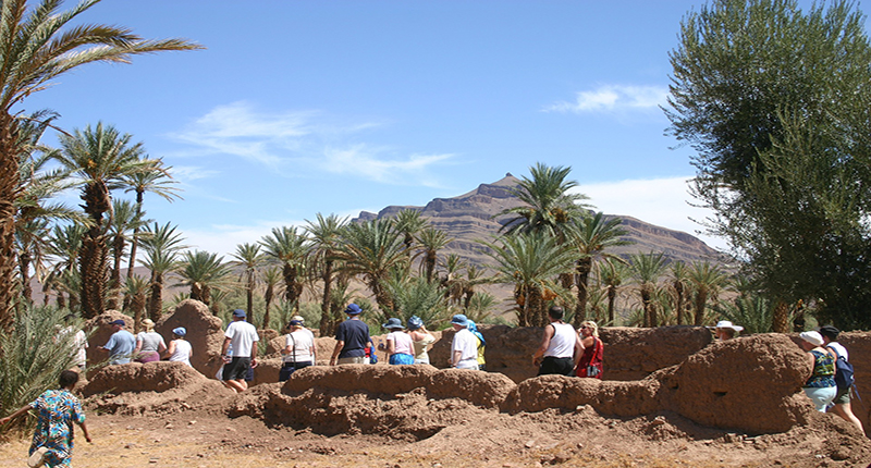 cat 2 circuit_desert_oasis_kasbah
