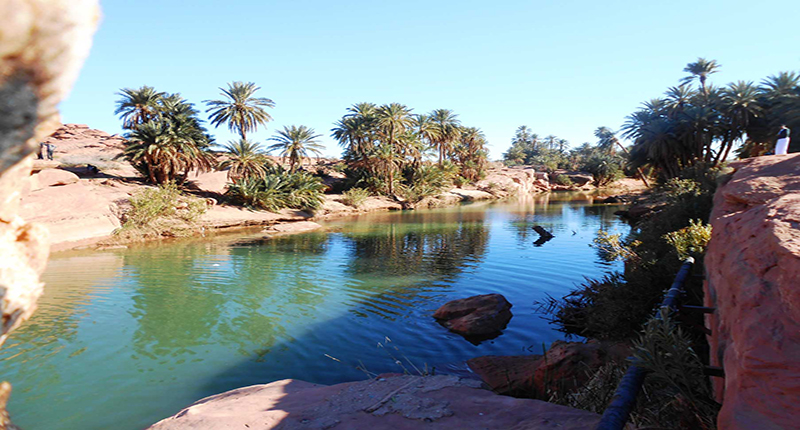 cat 4 excursion_taroudant 