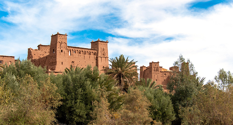 cat circuit_decouverte_oasis_kasbah