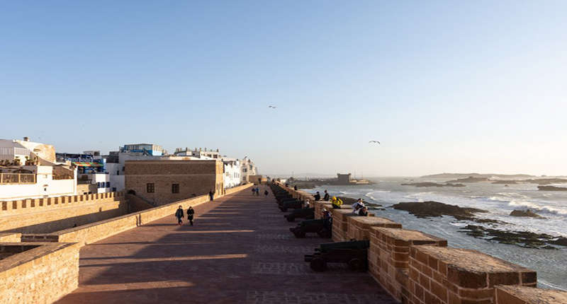 cat essaouira 1