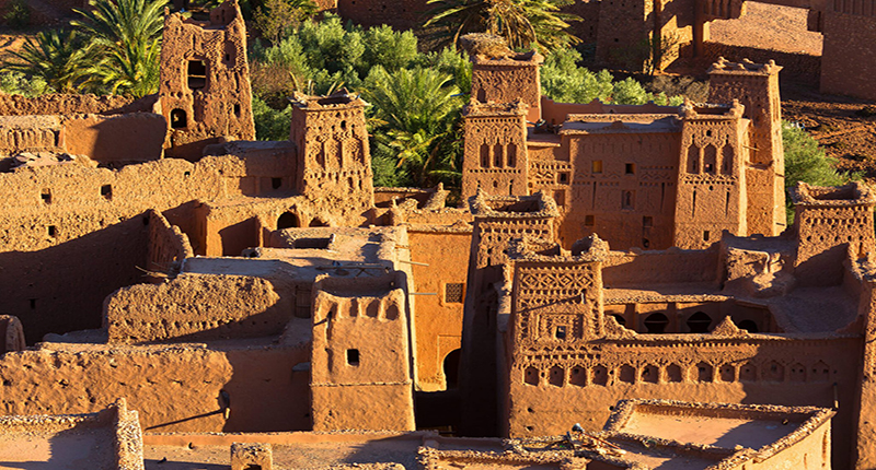 cat kasbah 1