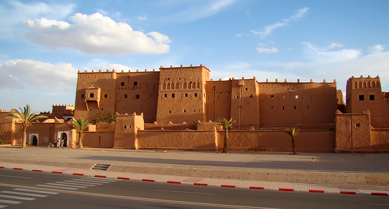 cat kasbah 3