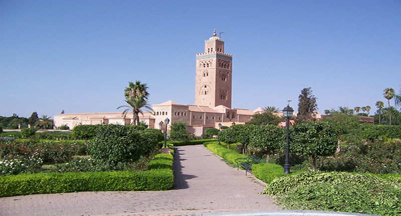 cat marrakech ville