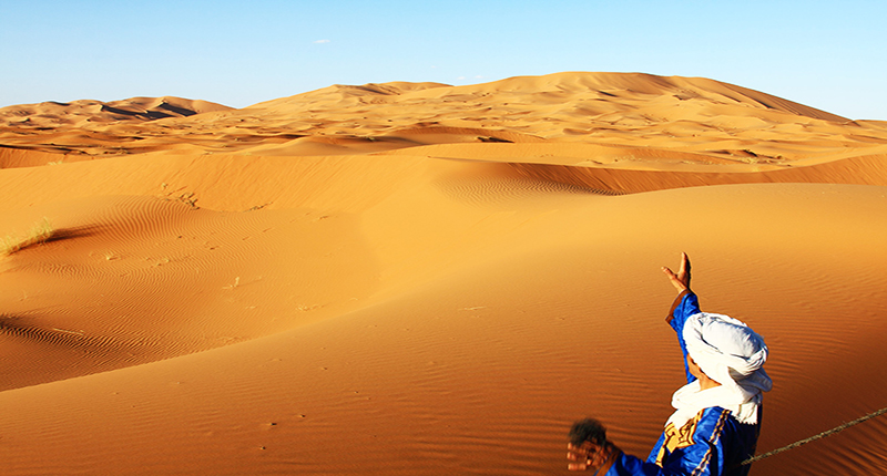 cat merzouga 3