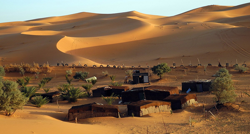 cat merzouga 5