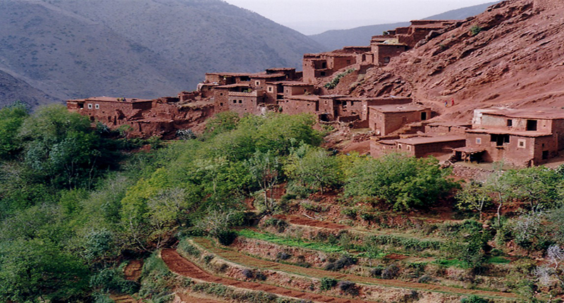 cat toubkal 2