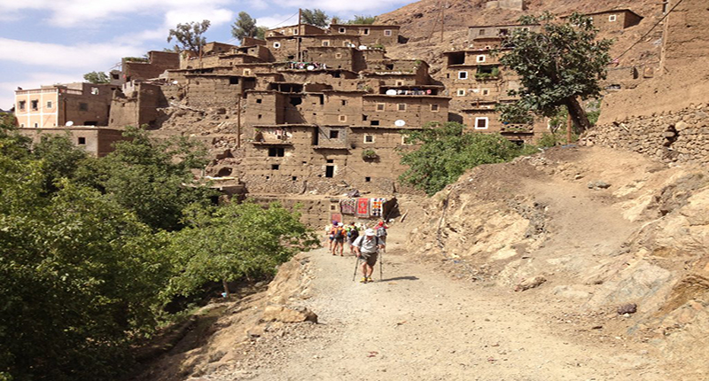 cat toubkal 3