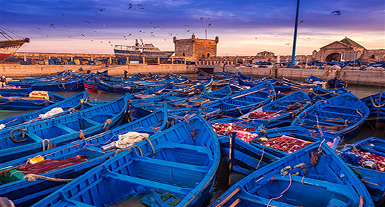 Excursion Essaouira-Marrakech