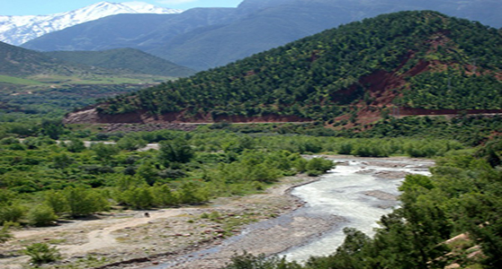 Excursion Vallée Ourika-Marrakech