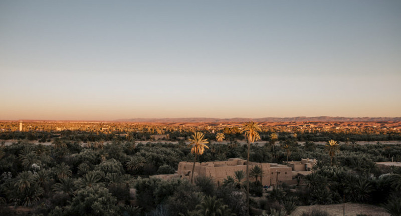 Palmeraie de Skoura - Vallée des roses - Gorges de Dades