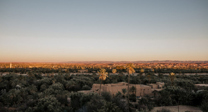 Palmeraie de Skoura - Vallée des roses - Gorges de Dades