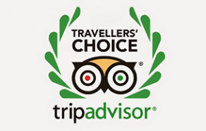 tripadvisor